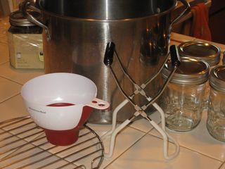 IMG_4384 IMG_4384